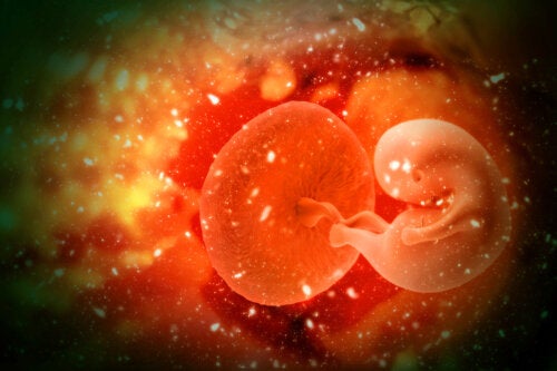 Che cos'è l'adozione di embrioni e quali sono i suoi vantaggi?