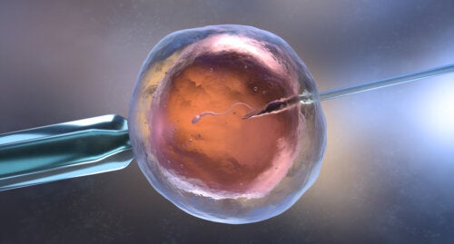 Aborto dopo la fecondazione in vitro: perché succede?