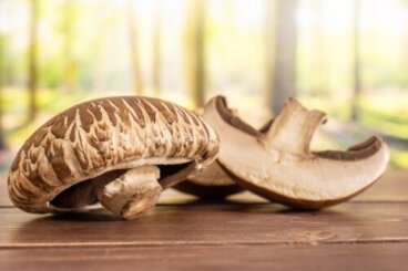 Funghi cremini: valore nutrizionale e benefici