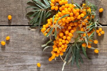 Olivello spinoso: benefici per la salute