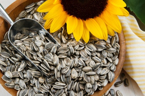 Latte di semi di girasole: tutti i benefici