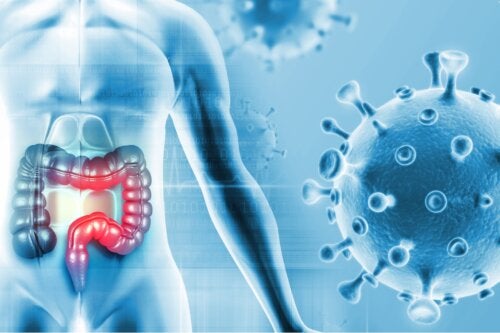 Nuovo studio identifica un batterio della bocca che può favorire il cancro al colon