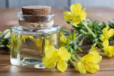 Olio di enotera: proprietà e usi