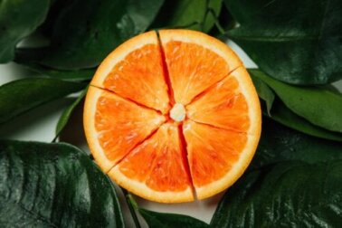 Usi e benefici dell'arancia amara