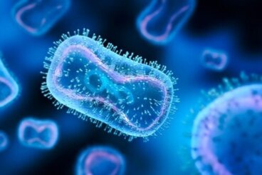 I 13 virus più pericolosi per l'uomo