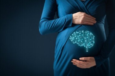 La gravidanza provoca cambiamenti nel cervello per favorire il legame con il bambino, lo dimostrano alcuni studi