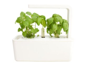 Vaso smart: scoprite come funziona e i vantaggi per le piante