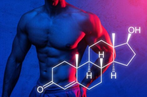 Sintesi proteica: come massimizzare l'aumento di massa muscolare
