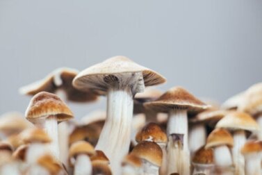 Psilocibina contro la depressione: quali sono i suoi effetti?