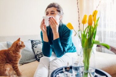 15 piante da non tenere in casa se si soffre di allergie