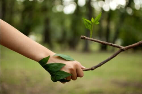 Le 14 migliori citazioni per gli amanti della natura, delle piante e della vita