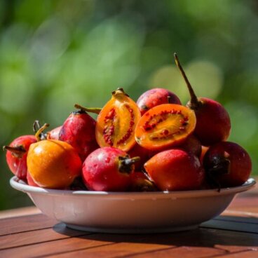Albero del pomodoro: 9 benefici