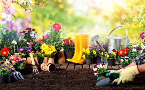 10 strumenti essenziali per la cura del giardino in primavera