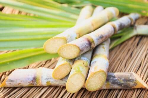 Canna da zucchero: valore nutrizionale e proprietà