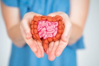 La cura del microbiota aiuta a migliorare i sintomi della menopausa