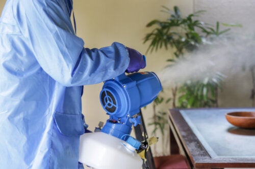 Come pulire la casa dopo una fumigazione?
