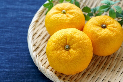 Benefici dello yuzu: un agrume giapponese ricco di vitamina C