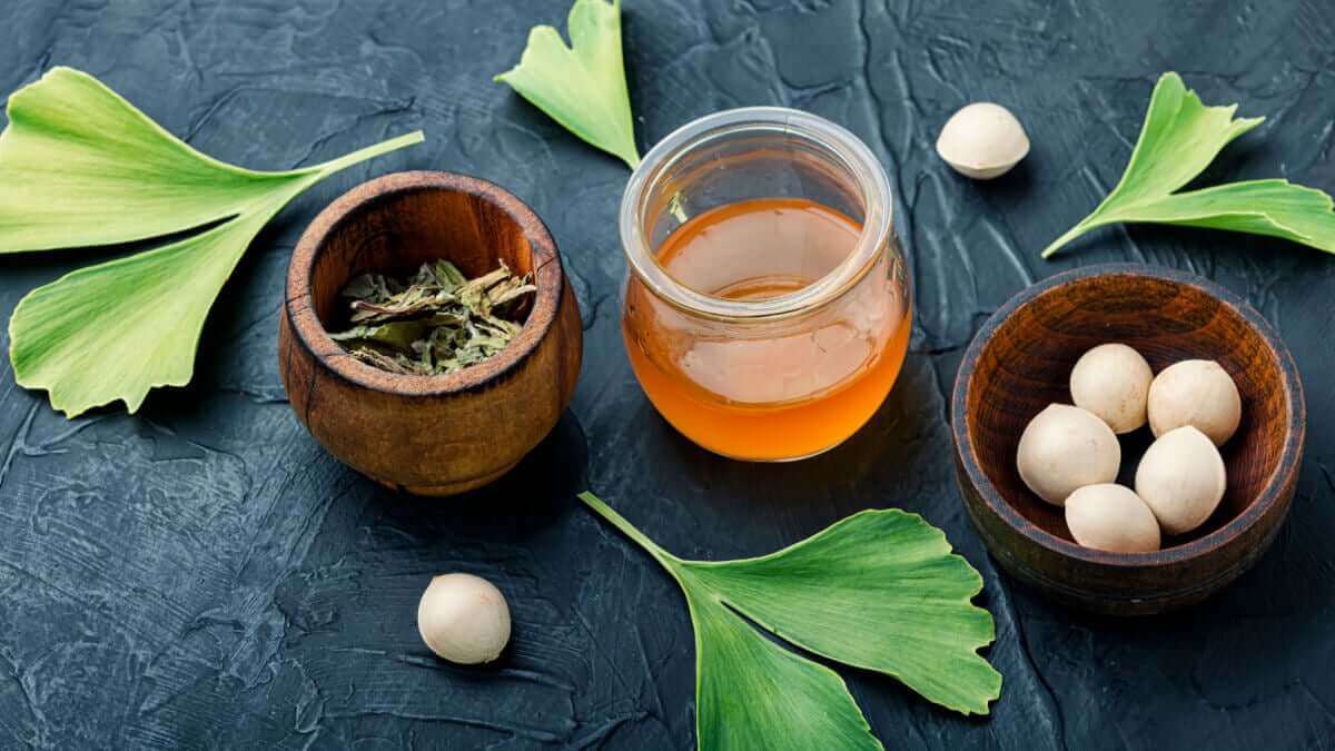 Ginkgo biloba: cos'è, proprietà, benefici e usi dell'integratore