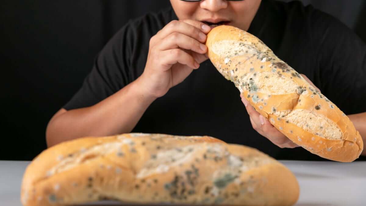 Ecco cosa succede se si mangia pane ammuffito