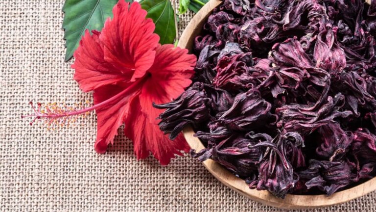 Quali sono i benefici del fiore di ibisco e come consumarlo?