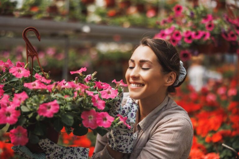 Quando e come potare i gerani per una crescita sana