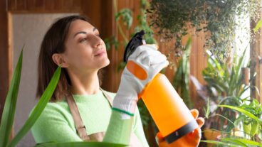 Insetticidi fatti in casa: ricette e modalità di applicazione corretta