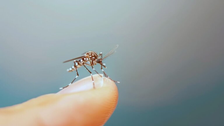 Le sequele più comuni della febbre dengue