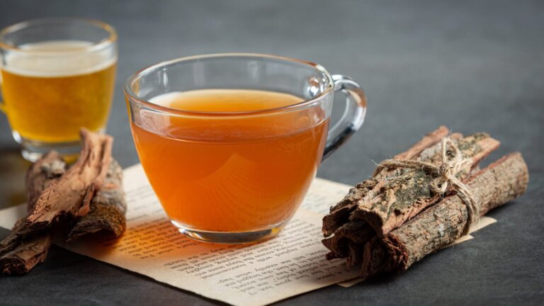 9 infusi che aiutano la memoria